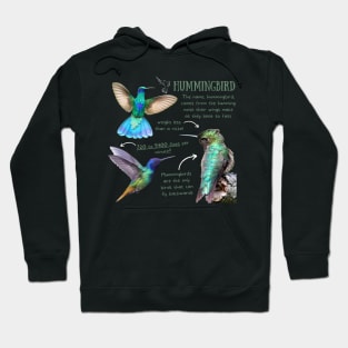 Animal facts - Hummingbird Hoodie